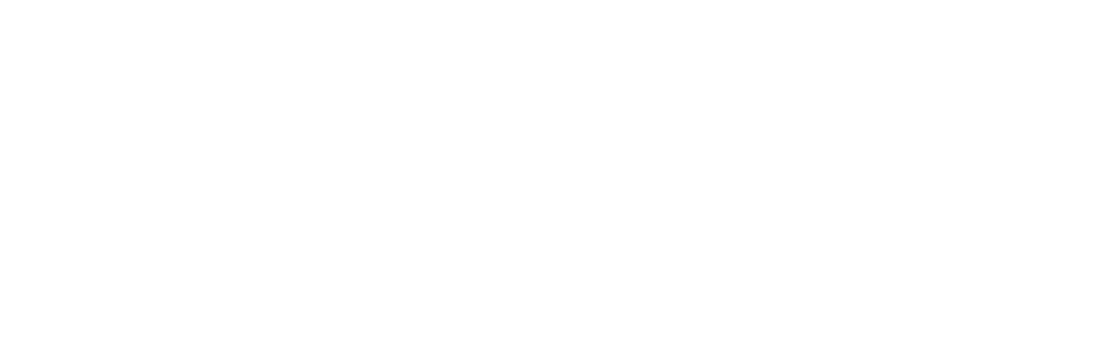 Logo-horizontal-light-400